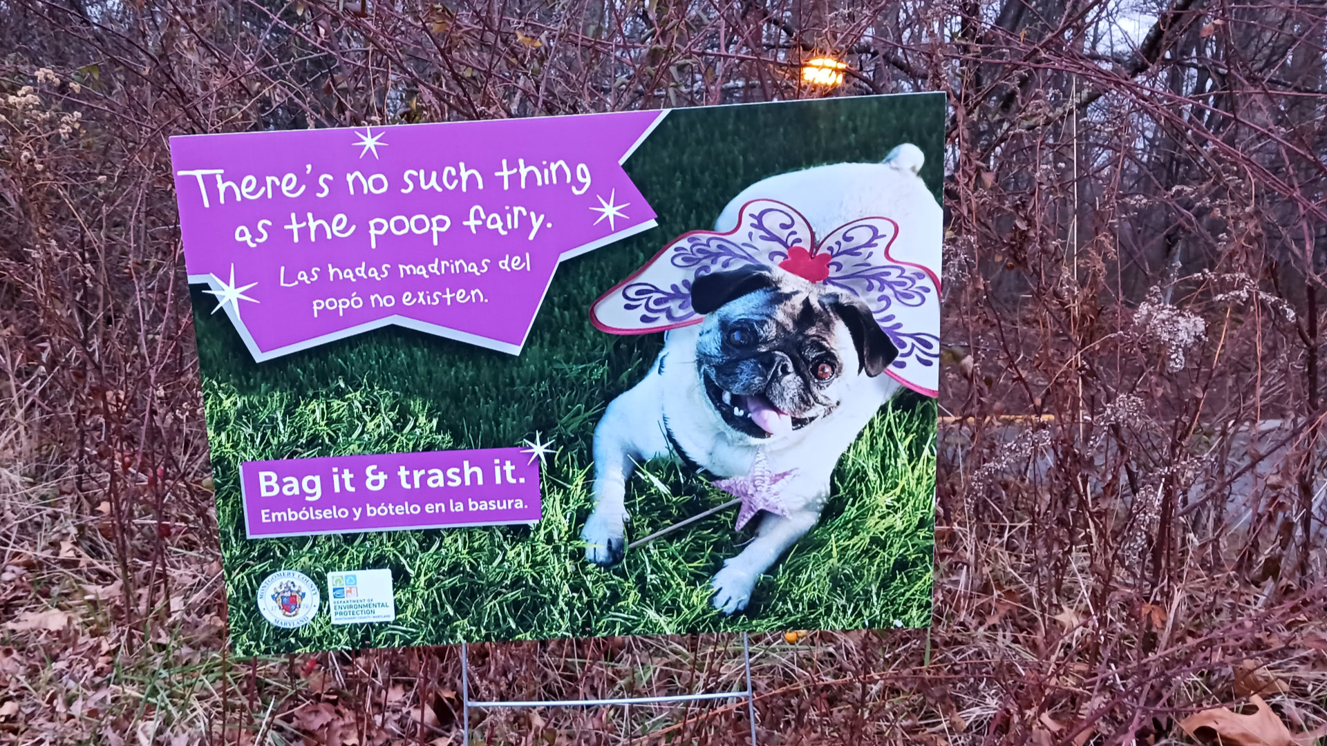 There's no such thing as the poop fairy